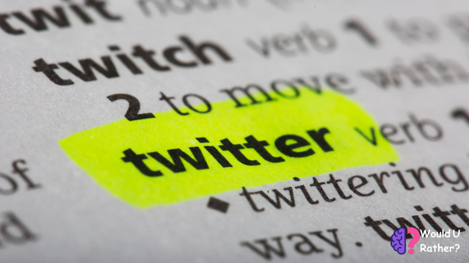 Twitter Viewer