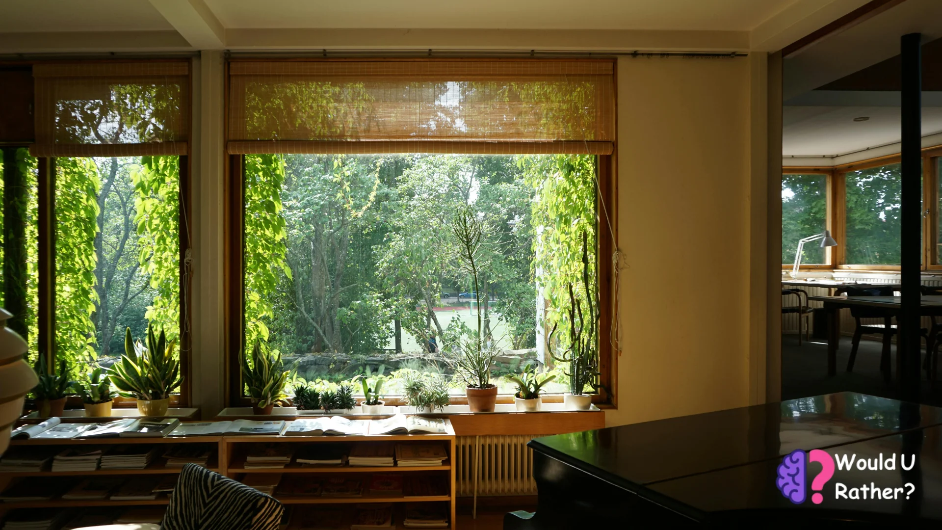 Would You Rather Renovate Now or Gradually Upgrade Your Home Over Time?